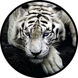 File:Rogozhin Tiger token.png