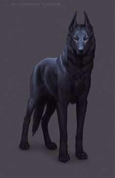 File:Dog.jpg