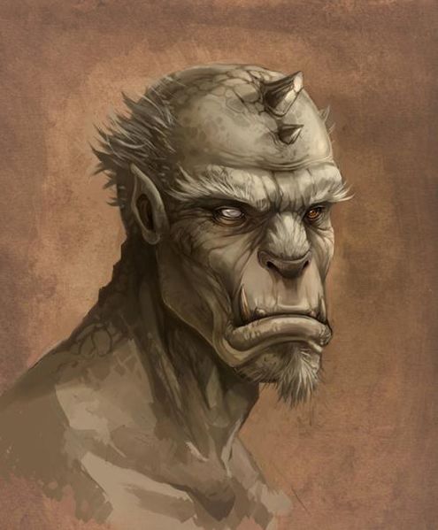 File:495px-Daichi Kameda Portrait.jpg