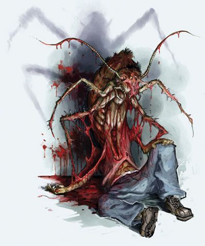 File:InsectSpirit.jpg