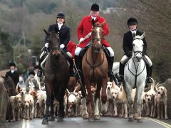 File:240px-1200px-Fox hunt.jpg