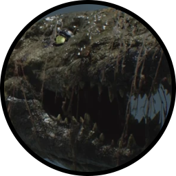 File:Rogozhin Carcass Spirit token gator.png