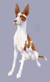 File:72px-120px-Jazzy Dog.jpg