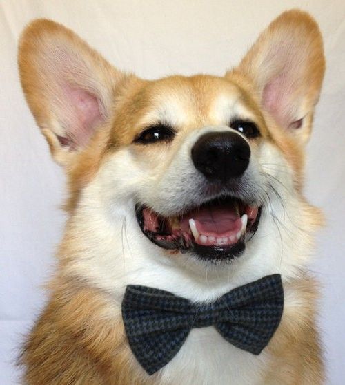 File:D76ee3eb5a9f488fc470a4c54925cad2.jpg