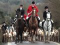 File:120px-1200px-Fox hunt.jpg
