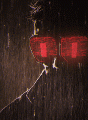 File:88px-175px-Crypt3ch.gif