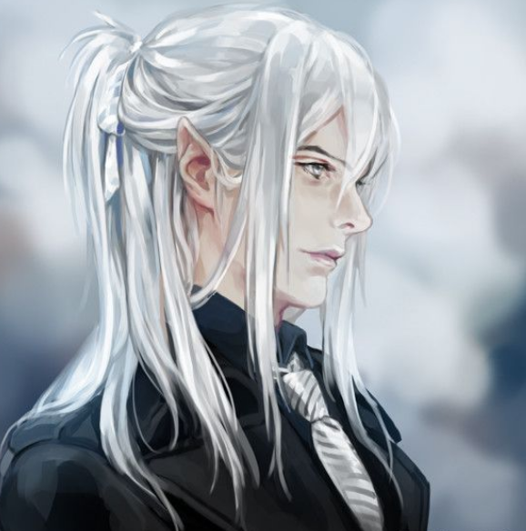 File:Silver hair androgynous elf.png