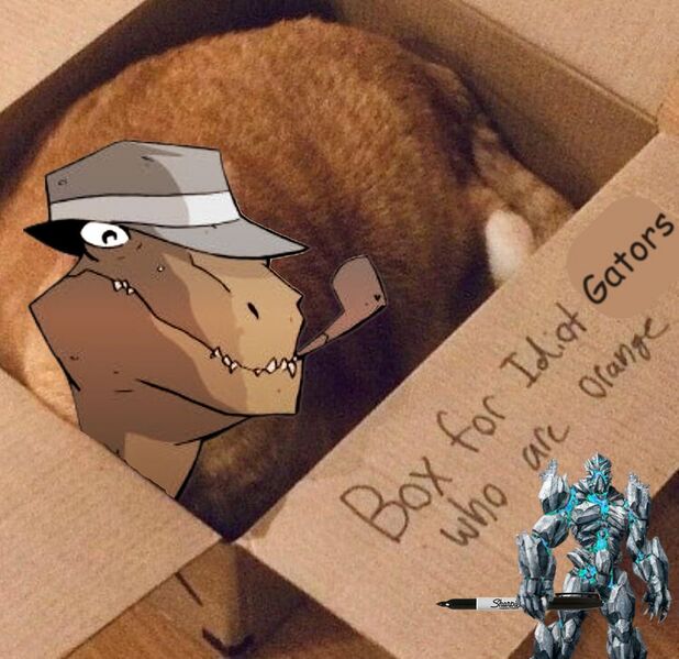 File:927px-Gator box.jpeg