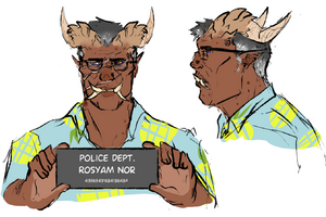 Obasan with the stereotypical mugshot. She is looking directly at the camera and there is another profile angle as well. She holds a placard with the name 'Rosyam Nor'.