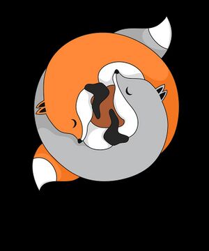 Fox-yin-yang-symbol-mediation-animal-jonathan-golding.jpg