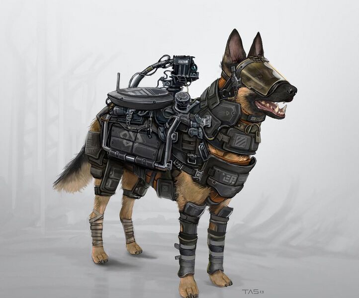 File:Good Boy.jpg